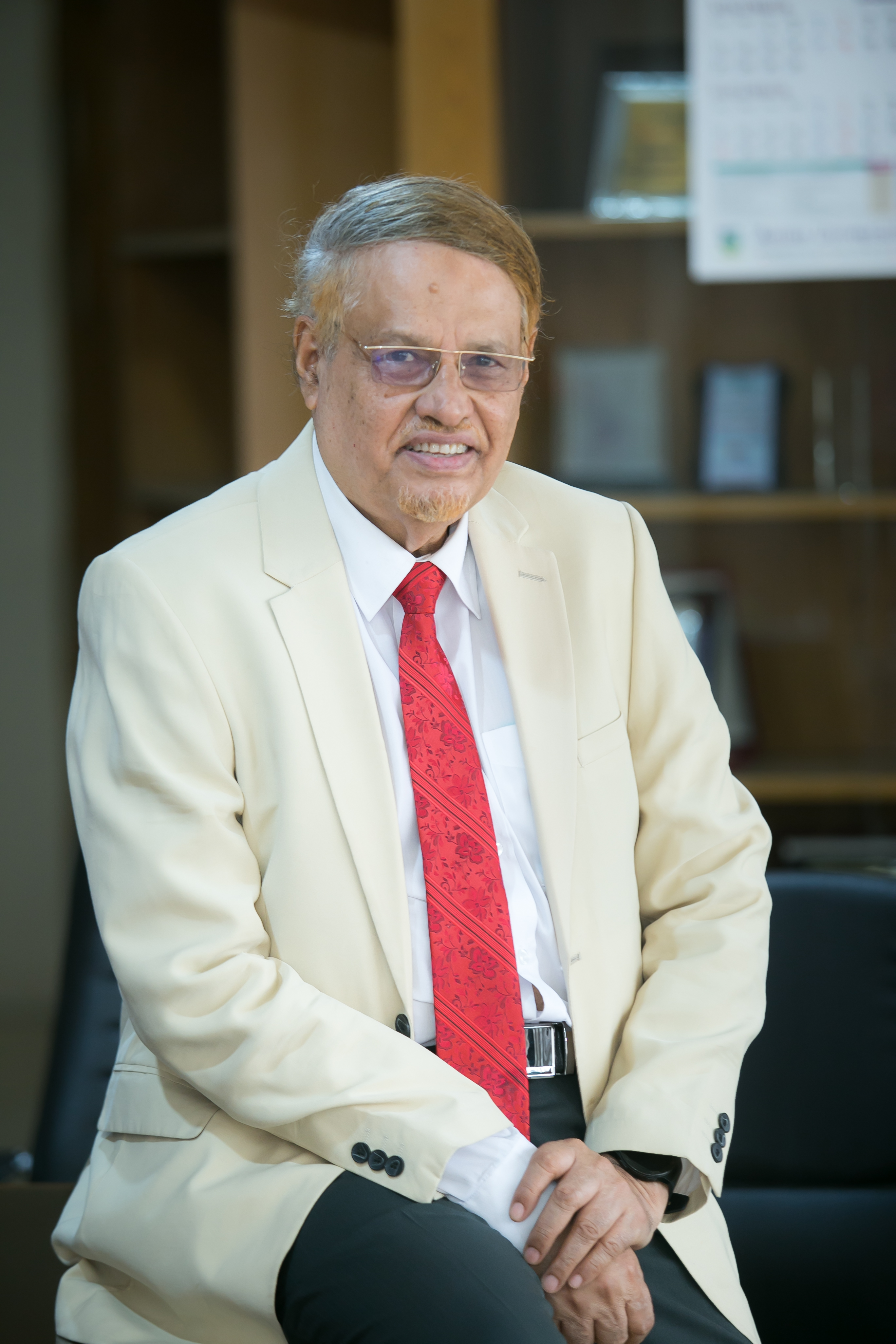 Professor Dr. Abul Hasan M. Sadeq image
